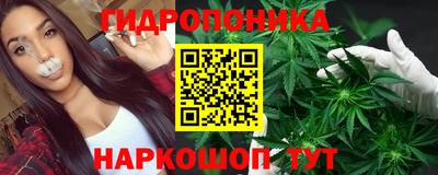 хмурый Тула